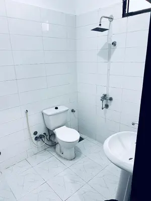 a white bathroom with a toilet and a sink at Golden Rose Guesthouse in Luxor
