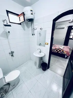 a bathroom with a toilet and a sink and a mirror at Golden Rose Guesthouse in Luxor
