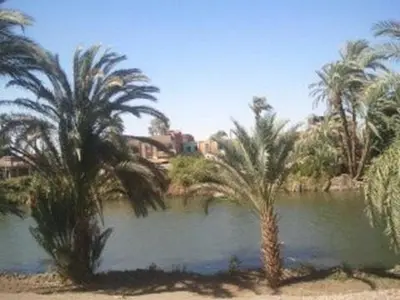 two palm trees in front of a body of water at Lucky Nile Tours in Luxor