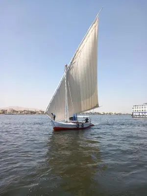 a boat with a white sail on the water at جزيرة العوامية in Luxor