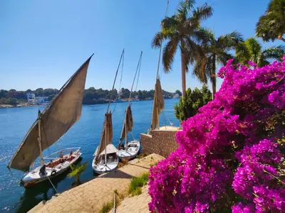 a group of boats on the water with flowers at Sunset and Sand Felucca Life on the Nile in Jazīrat Aswān