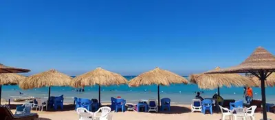 a beach with chairs and straw umbrellas and the ocean at Beachfront Studio Hurghada in Hurghada