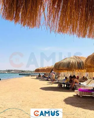 a beach with straw umbrellas and people sitting on the beach at CAMUS 425 B, Princess Resort in Hurghada