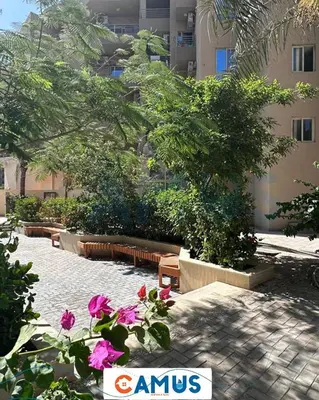 a courtyard with benches and flowers in front of a building at CAMUS 425 B, Princess Resort in Hurghada
