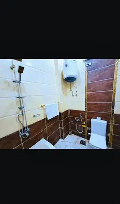 a bathroom with a toilet and a shower at Nile palace apartment in Luxor