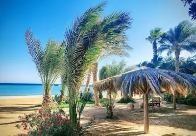 a beach with a straw umbrella and palm trees at Turtles Beach Resort- Hurghada in Hurghada