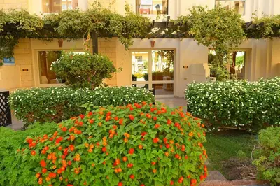 a garden with red flowers in front of a building at Compound floranza in Hurghada