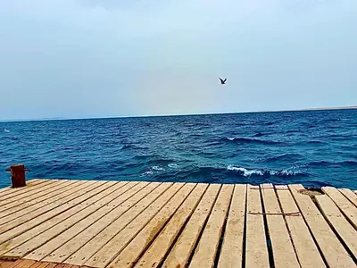 a wooden dock on the ocean with a bird flying over it at Hurghada Holiday Studio with Beach in Hurghada