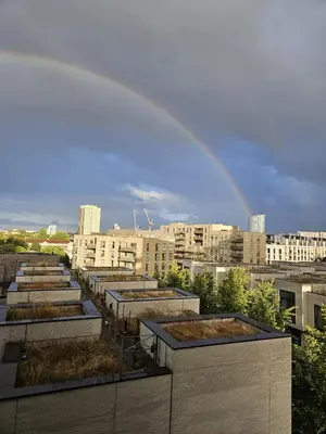 a rainbow over a city with a row of plants at Angel in Hurghada