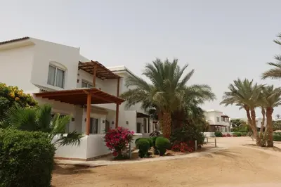 a house with palm trees and a dirt road at Spacious 1bd on the Beach - White Villas, El Gouna in Hurghada