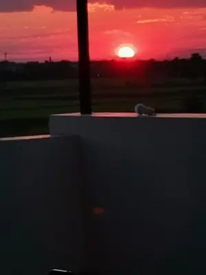 a sunset with the sun setting in the distance at House of peace in Al Aqālitah