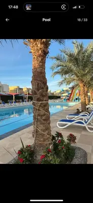 a palm tree in front of a pool with flowers at Luxus Apartment in Hurghada
