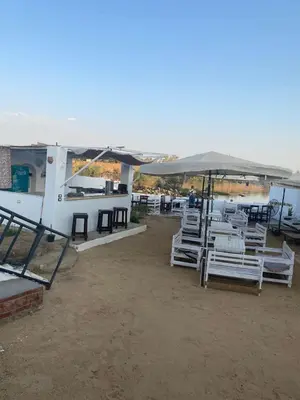 a group of chairs and umbrellas on a beach at Torya guesthouse in Aswan