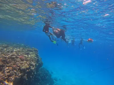 a group of people swimming over a coral reef at Modern 2 Bedroom Apartment with Private Beach Hurghada in Hurghada