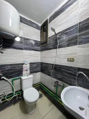 a bathroom with a toilet and a sink at Centre point Aswan in Aswan