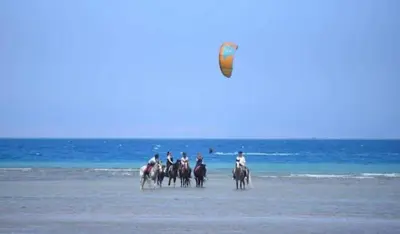 a group of people riding horses on the beach at selena bay resort in El Gouna
