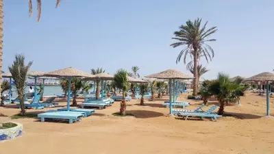 a beach with blue chairs and umbrellas and palm trees at Taiba Golden Resort in Hurghada