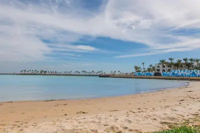 a beach with palm trees and a pier at scandic Resort hurghada in Hurghada