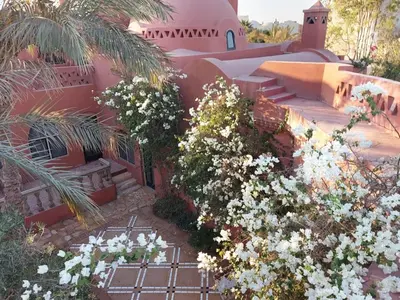 a garden with white flowers in front of a house at فيلا نوبيا بجوار بيتش الزيتونه in Hurghada