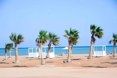 a group of palm trees on a sandy beach at mangrovey M9-2B--01 in Hurghada