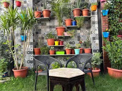 a garden with two chairs and potted plants on a wall at Lilys Garden Guest House in Jazīrat al ‘Awwāmīyah