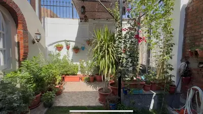 a courtyard with potted plants in a building at Lilys Garden Guest House in Jazīrat al ‘Awwāmīyah