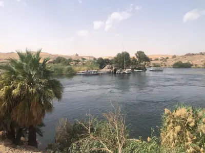 a palm tree next to a river with boats at HAWATY NUBA DWeLL in Nag` el-Ramla