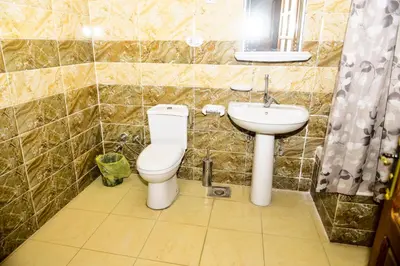 a bathroom with a toilet and a sink at Flamingo Memnon Guest House in Luxor