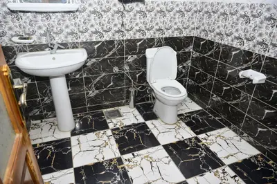 a bathroom with a toilet and a sink at Flamingo Memnon Guest House in Luxor