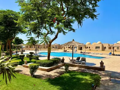 a swimming pool in a resort with a tree and chairs at The Clubhouse Apartment in Hurghada