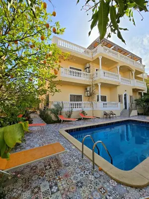 a villa with a swimming pool in front of a house at Elnahla Villa in Hurghada