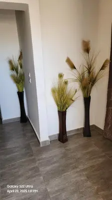 three vases with plants in them on a wall at Chalet - Mirage Bay Resort & Aqua Park in Hurghada