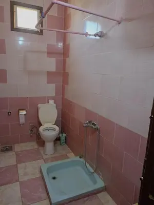 a bathroom with a toilet and a bath tub at Abo Orabi Guest House in Aswan