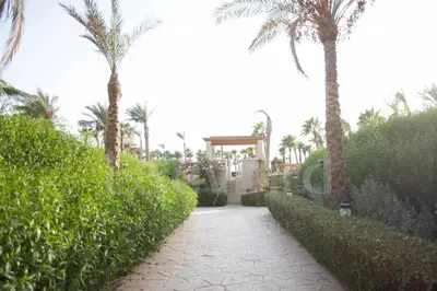 a walkway with palm trees and a house with a gate at Ladybird - Veranda Nest in Hurghada