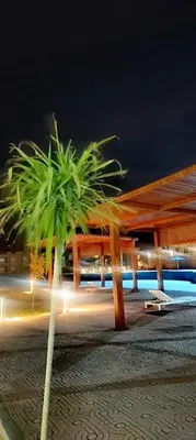 a palm tree in front of a building at night at Sahl hashesh Resort in Hurghada