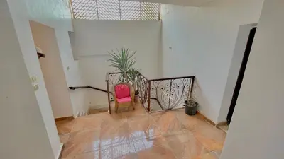 a room with a pink chair and a plant at Yellow House on the Nile in Luxor