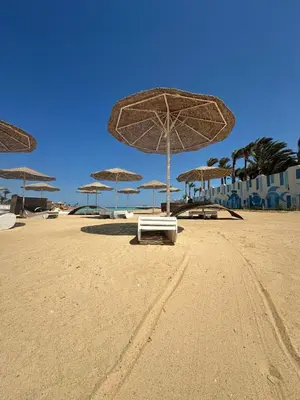 a group of umbrellas on a sandy beach at Seafront Hotel Apartment with private beach in Hurghada