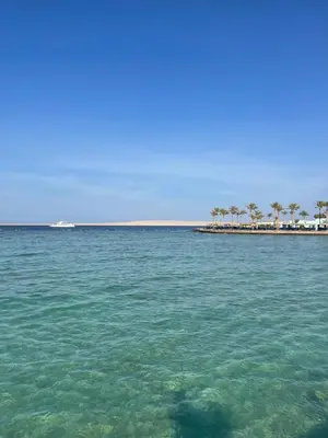a large body of water with palm trees in the background at Seafront Hotel Apartment with private beach in Hurghada