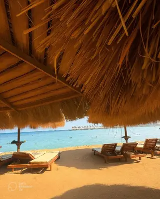a beach with chairs and a straw umbrella and the ocean at Tiba Golden Resort with private Beach in Hurghada