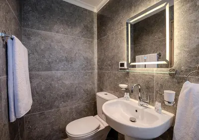 a bathroom with a toilet and a sink and a mirror at Anoush Dahabiya 7 nights from Luxor to Luxor each Monday in Luxor