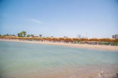 a beach with a bunch of trees and the water at Rewaya Majestic Resort in Hurghada