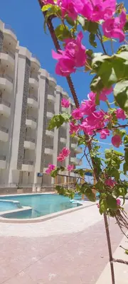 a building with a swimming pool and pink flowers at Zafira Apartman in Hurghada