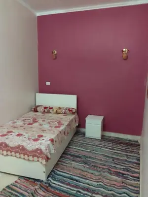 a bedroom with a bed and a purple wall at Neu Student Home 2 in Jazīrat Aswān