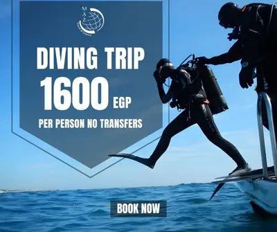 a diver jumping off a boat in the water at Marina Bay Elegance Room Balcony Overlooking Luxury Yachts in Hurghada