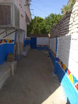 a courtyard of a house with blue and white walls at Nasser in Jazīrat Aswān