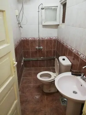 a bathroom with a toilet and a sink at Nasser in Jazīrat Aswān