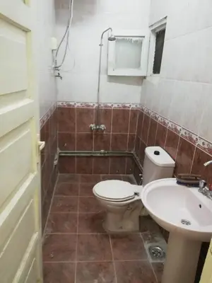 a bathroom with a toilet and a sink at Nasser in Jazīrat Aswān