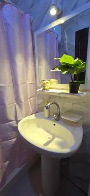 a bathroom with a sink and a potted plant at Tiba Golden White Lagoon Hurghada in Hurghada