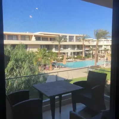 Cozy Studio