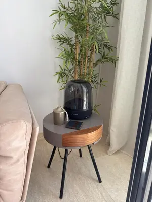 a table with a plant on it next to a couch at Gouna's Best Villa in Hurghada
